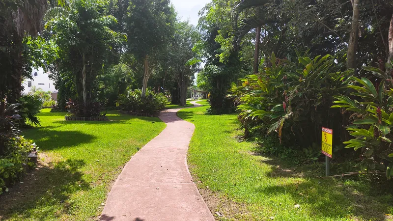 Sendero entre jardines del residencial